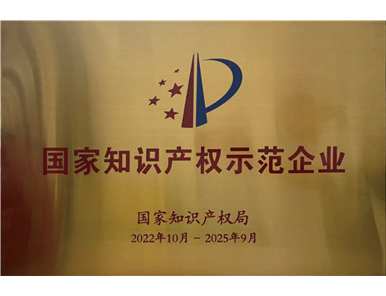 2022年 国家知识产权示范企业